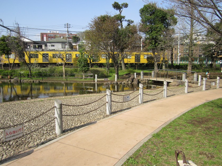 公園の脇を、西武新宿線の電車が走ります。