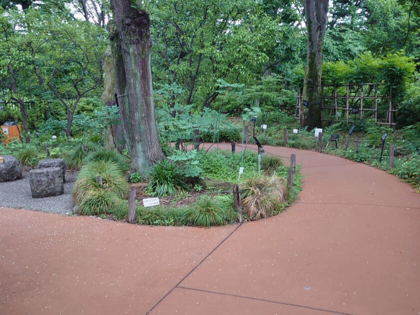 板橋区立赤塚植物園(東京都)