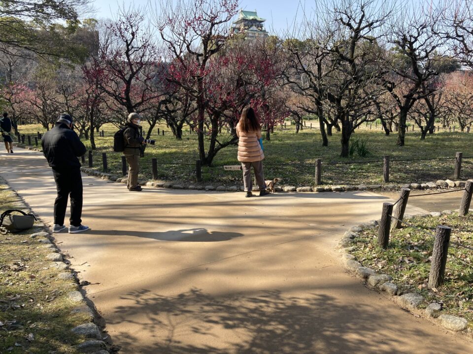 大阪城公園(大阪府)