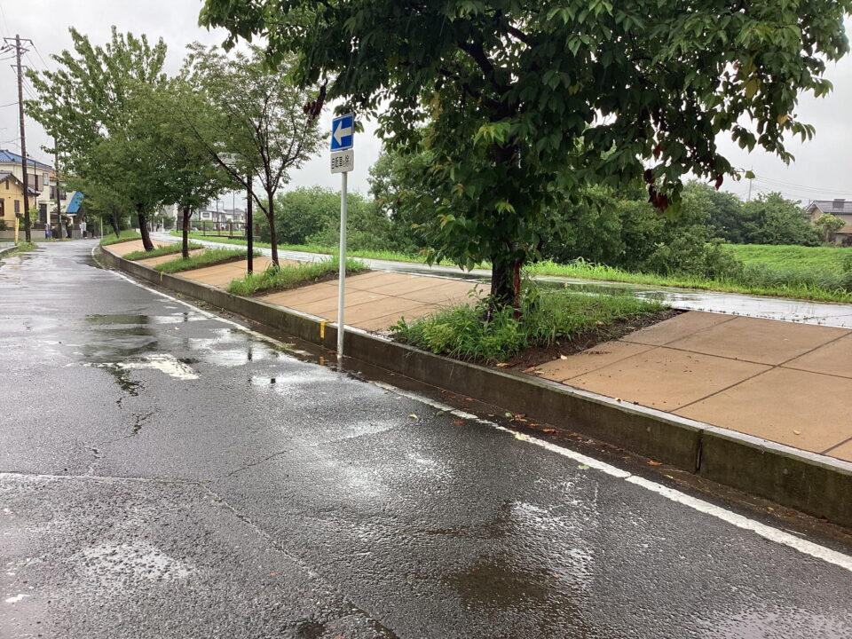 綾瀬川防草工(埼玉県)